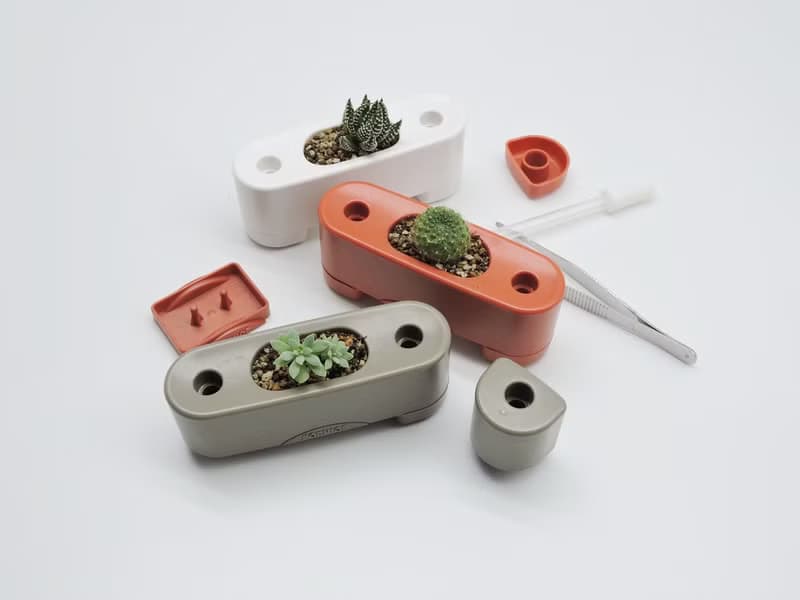 【有栽盆一入組-楓紅】Fornice楓來詩