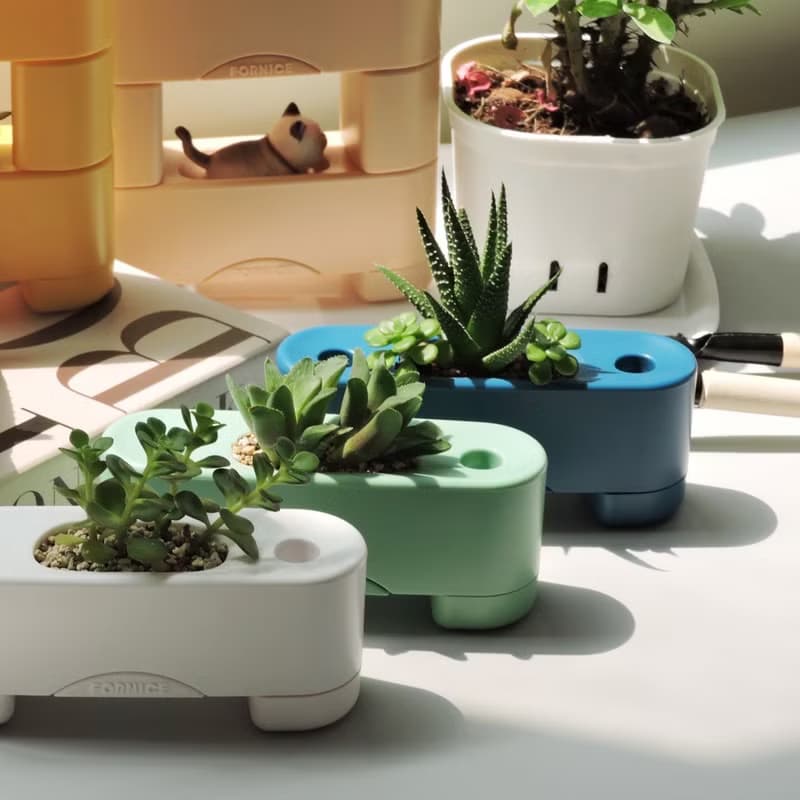 【有栽盆一入組-楓紅】Fornice楓來詩