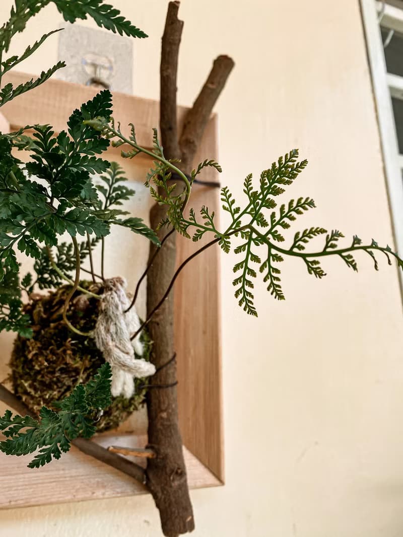 【樹枝上的兔腳蕨苔球】 質感畫框/ 室內植物