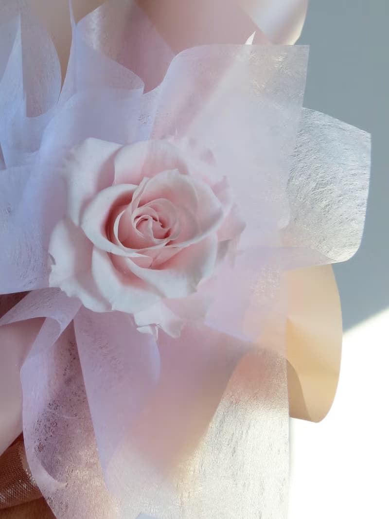 淡粉玫瑰單支 包裝小花束