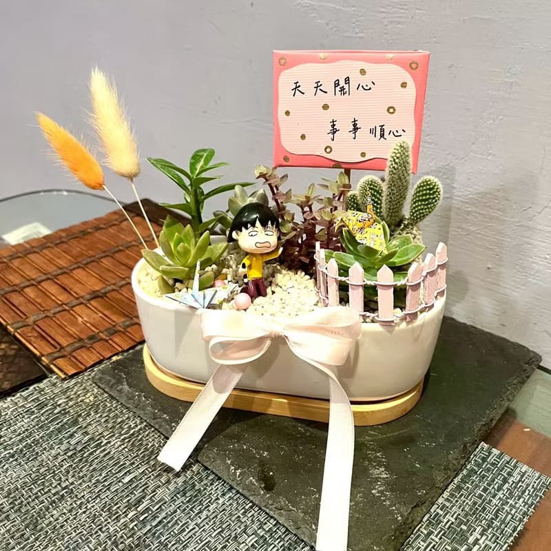 櫻桃小丸子 賠罪謝禮 日式 多肉組盆 多肉植物 道歉小丸子