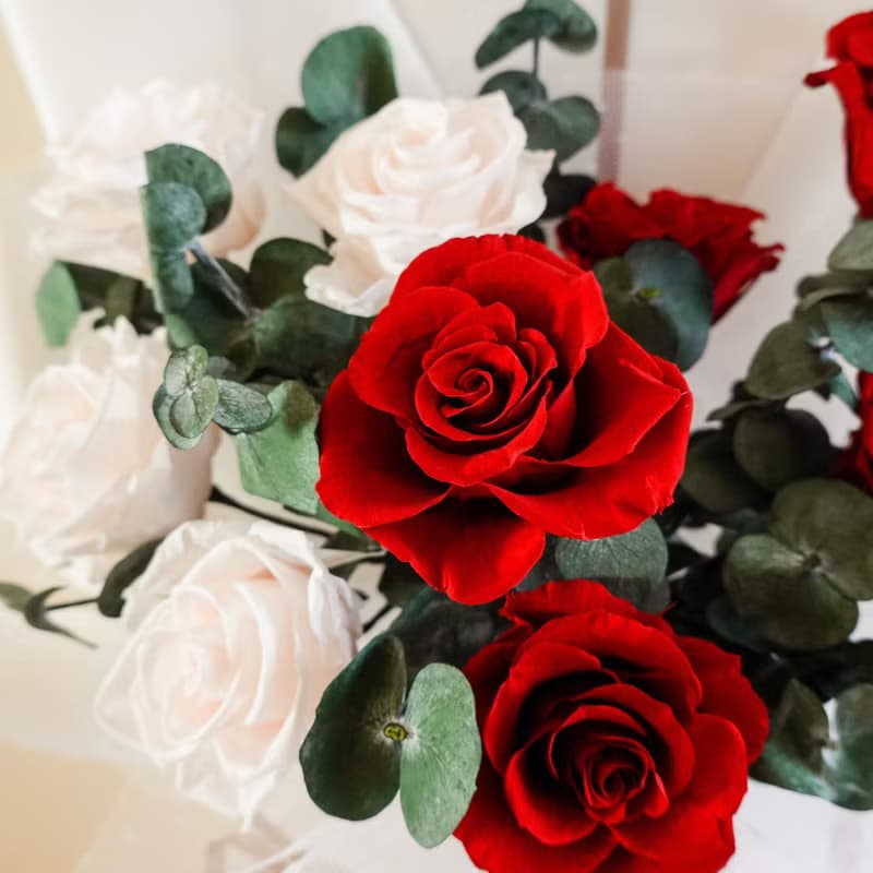 9朵永生特級大玫瑰花束-紅白色