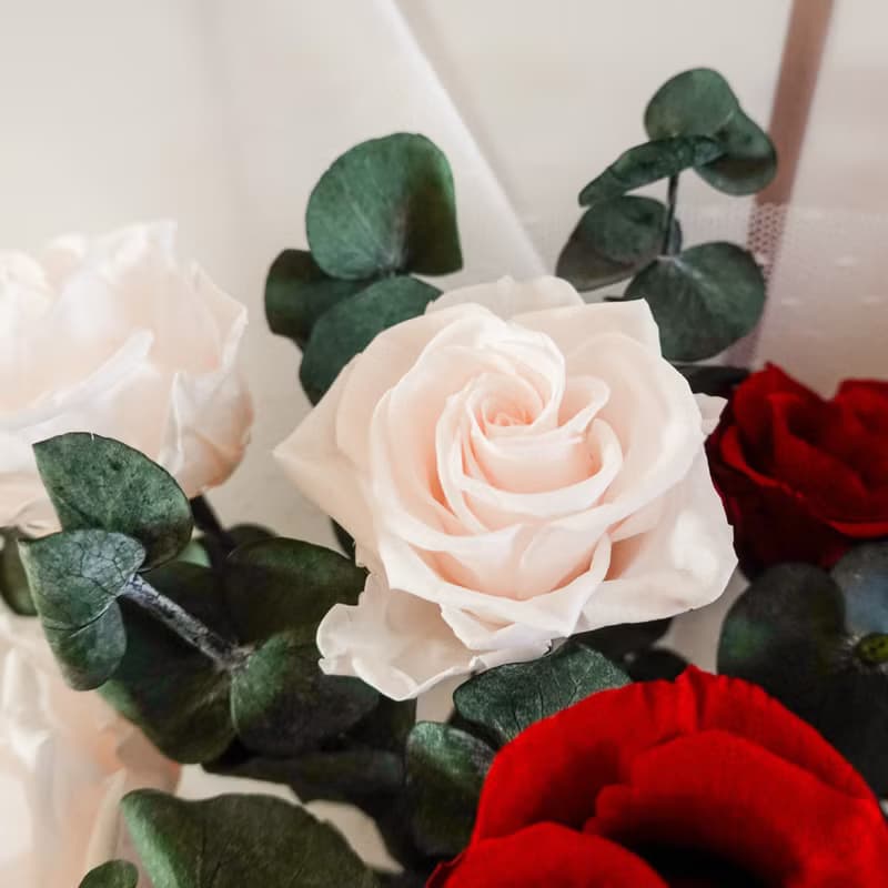9朵永生特級大玫瑰花束-紅白色