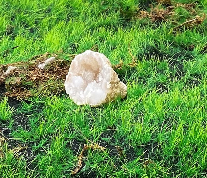 能量擺飾-招財可愛貝殼瑪瑙小白晶洞 療癒 開運 招財 原礦 聚財
