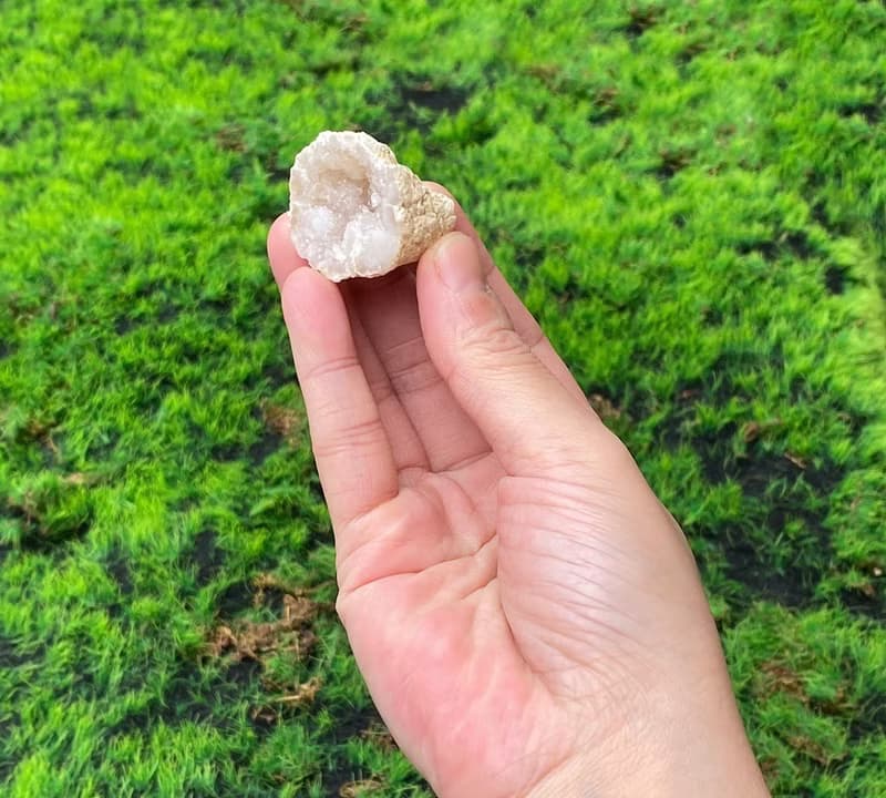 能量擺飾-招財可愛貝殼瑪瑙小白晶洞 療癒 開運 招財 原礦 聚財