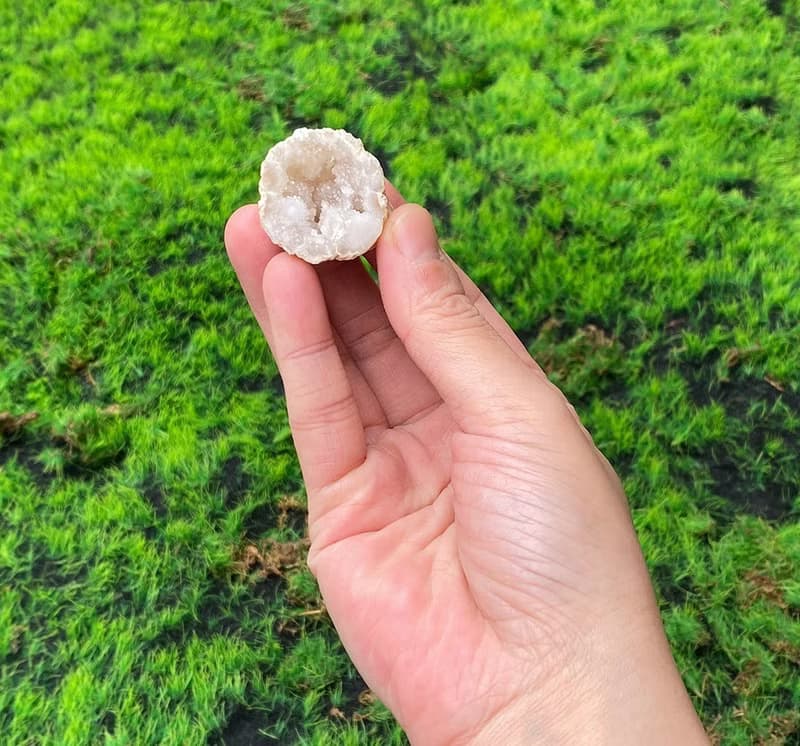 能量擺飾-招財可愛貝殼瑪瑙小白晶洞 療癒 開運 招財 原礦 聚財