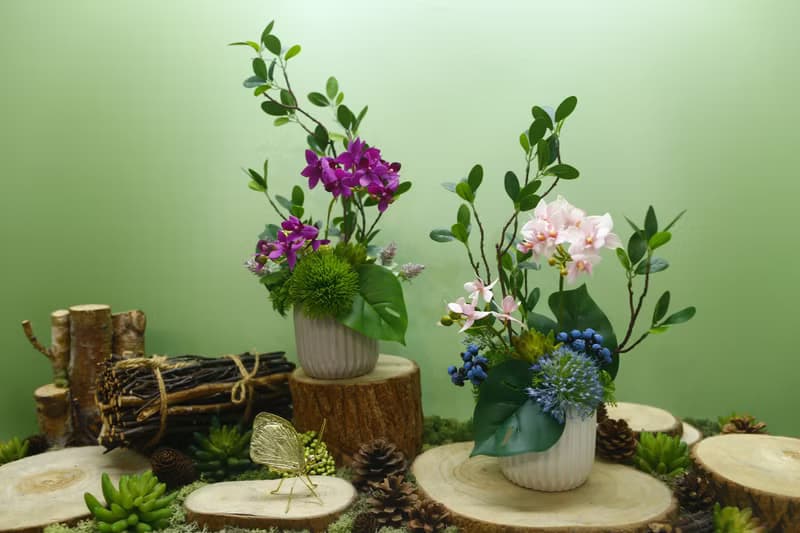 雅緻粉蝴蝶蘭榕枝香氛花禮/擬真植物/人造盆栽/綠化/佈置/禮物