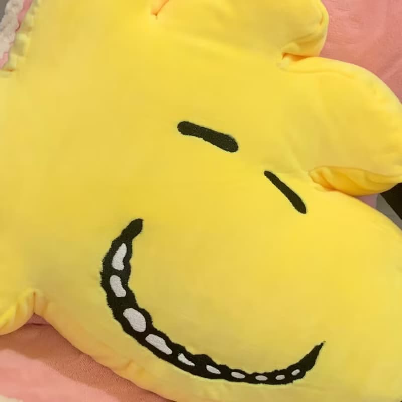 史努比 抱枕 糊塗塔克 午睡枕 snoopy Woodstock 胡士托