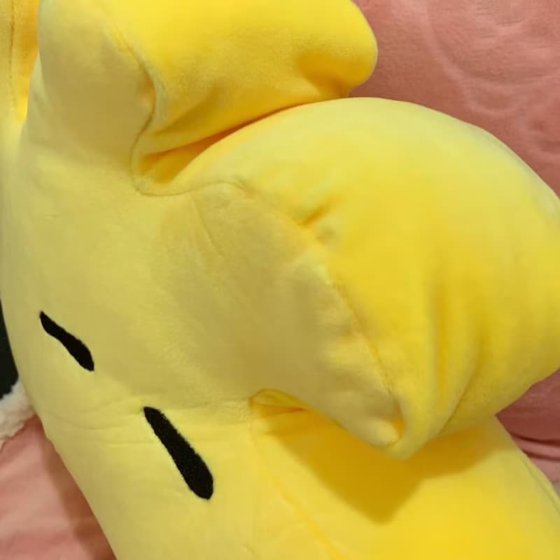 史努比 抱枕 糊塗塔克 午睡枕 snoopy Woodstock 胡士托