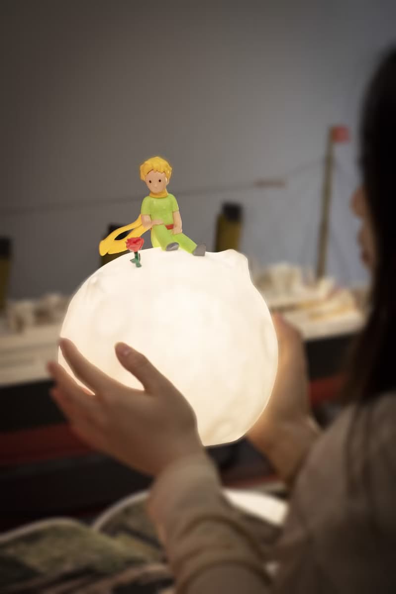 VIPO 小王子玫瑰星球燈 - 23cm