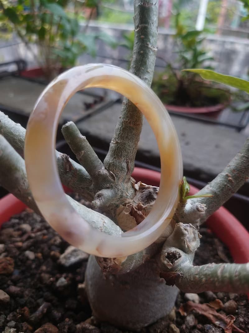 Miss feng天然石-樱花瑪瑙手鐲