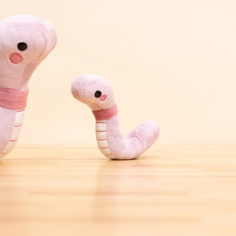 Mini Bellzi | Wormi 小蟲蟲玩偶