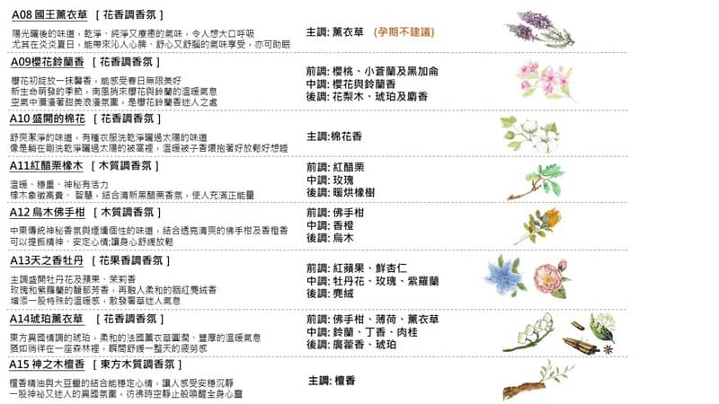 香氛蠟燭禮盒|貓咪/石虎造型280g+容器蠟燭180g-200g |15種香調選