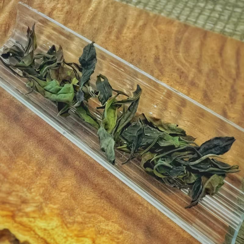 【慕耕活】芳華 30g 期間數量限定 坪林紅韻白茶