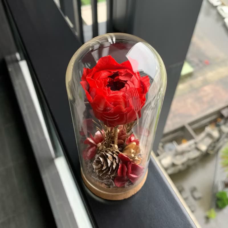 摯愛玫瑰 永生花 摯愛緋紅系列 (生日/桌花/氛圍感/禮物/家居裝飾