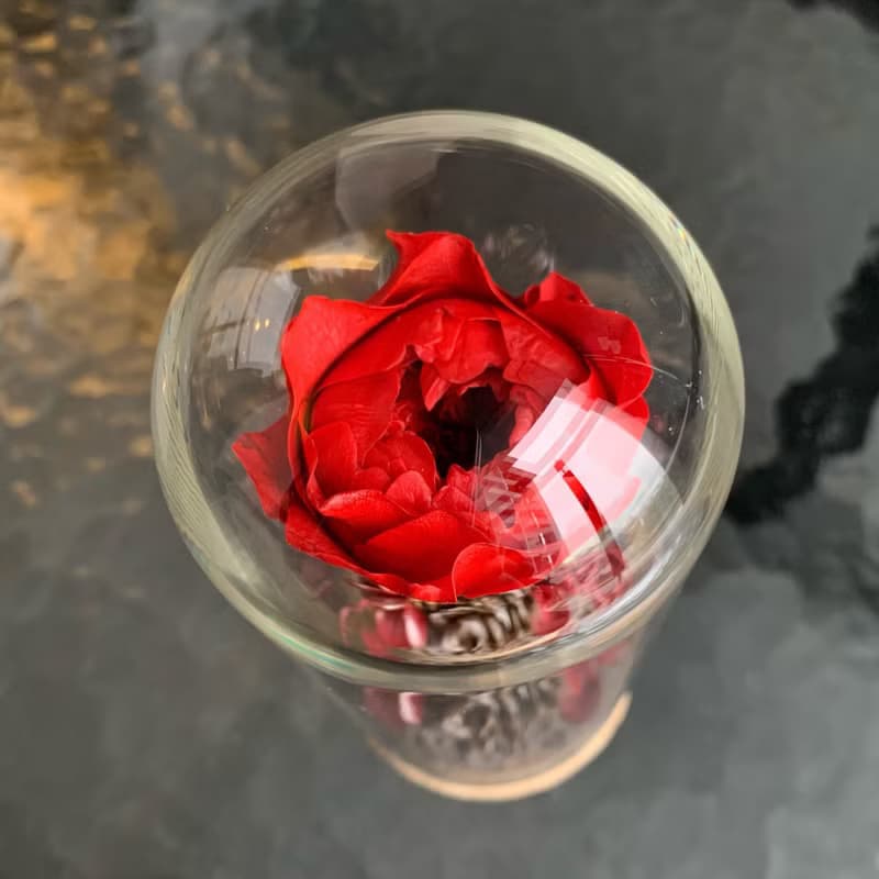 摯愛玫瑰 永生花 摯愛緋紅系列 (生日/桌花/氛圍感/禮物/家居裝飾