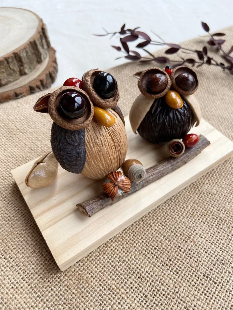 植物名片座/名片架-招財貓頭鷹/乾燥果實