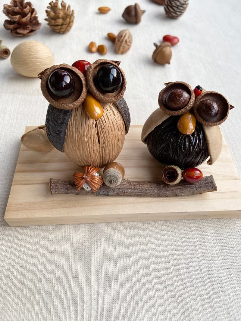 植物名片座/名片架-招財貓頭鷹/乾燥果實