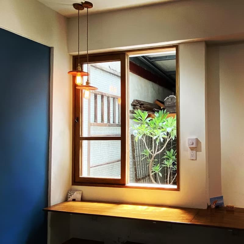 居家植物 － 白水木  禮物開幕賀禮