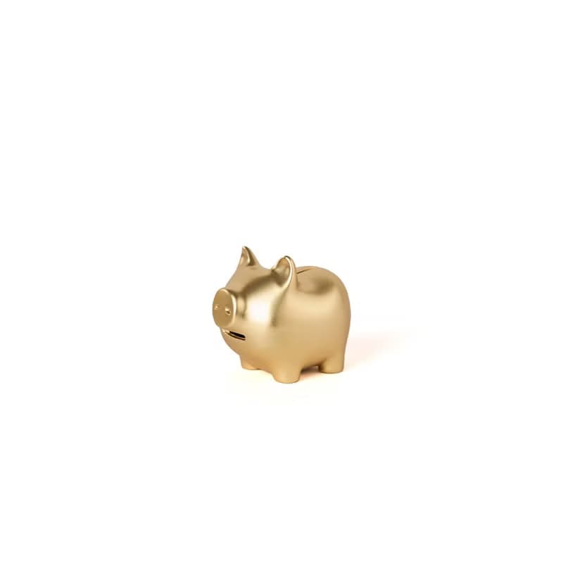 GOLDENPIG | 招財金豬 伍 霧金