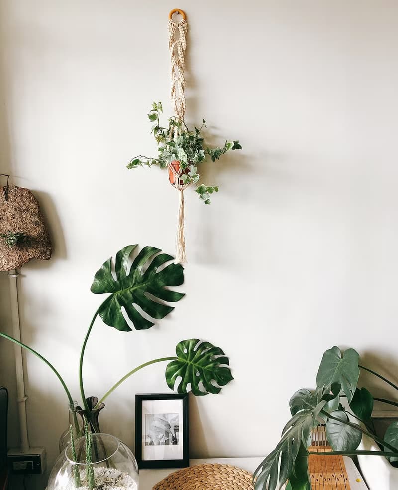 Macrame麻花植物吊籃