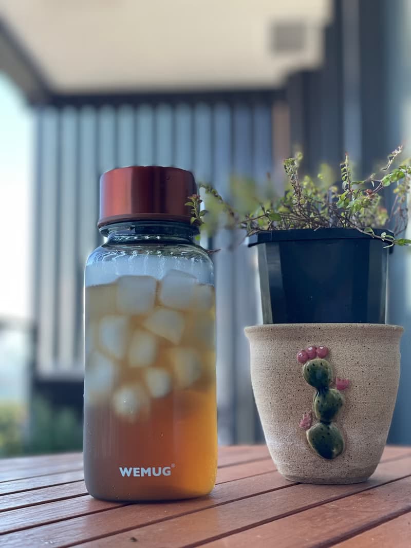 人氣泡茶壼 550ml熱冷泡茶咖啡耐熱 隨行杯壺 隨身瓶(含濾網)