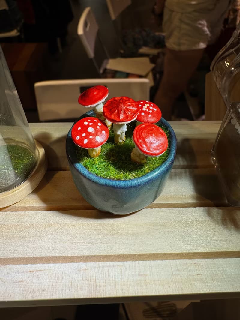 黏土蘑菇組合盆栽