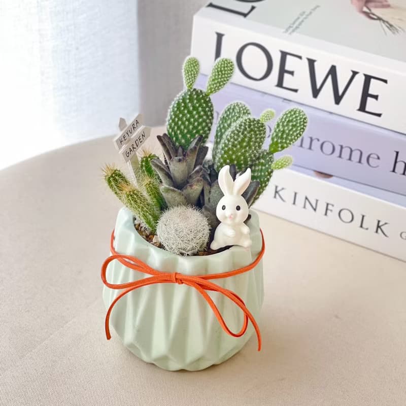 PD149多肉仙人掌造型水泥盆 / 多肉仙人掌盆栽