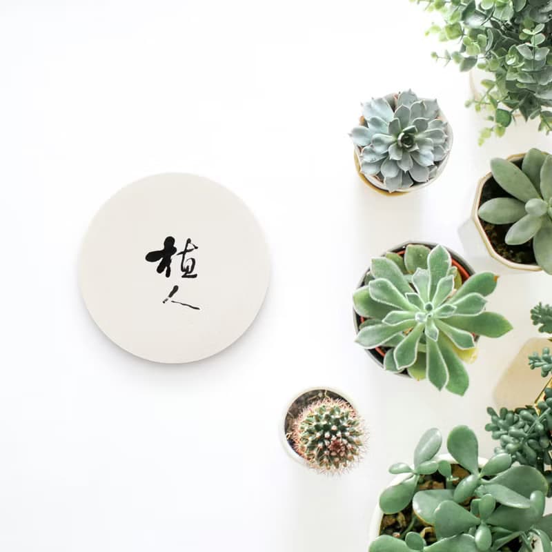 【快速出貨】植人 | 書法手寫字  硅藻土抗菌吸水杯墊 盆栽墊 花