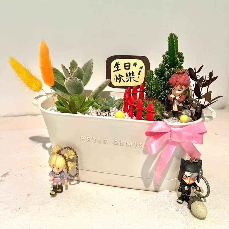 火影忍者 砂瀑 我愛羅 多肉組盆 微景觀盆栽 多肉盆栽 生日送禮
