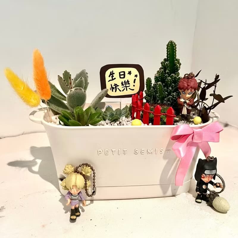 火影忍者 砂瀑 我愛羅 多肉組盆 微景觀盆栽 多肉盆栽 生日送禮