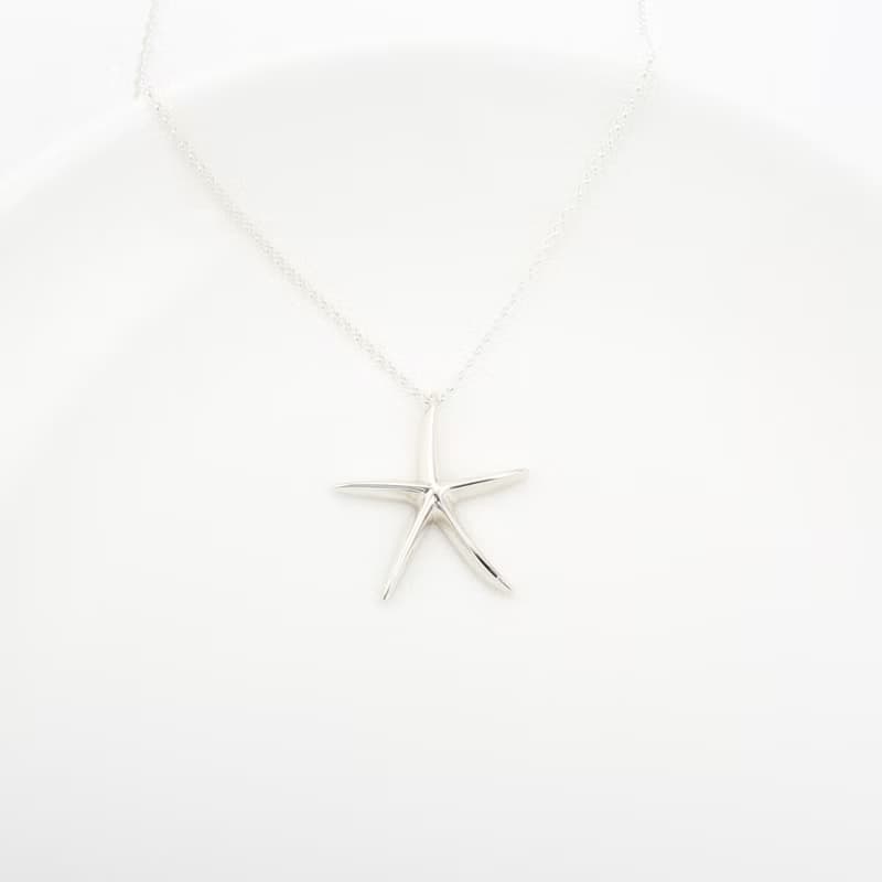 【Angel & Me】海星 s925 純銀項鍊 海洋 生日 情人節 聖誕節禮物