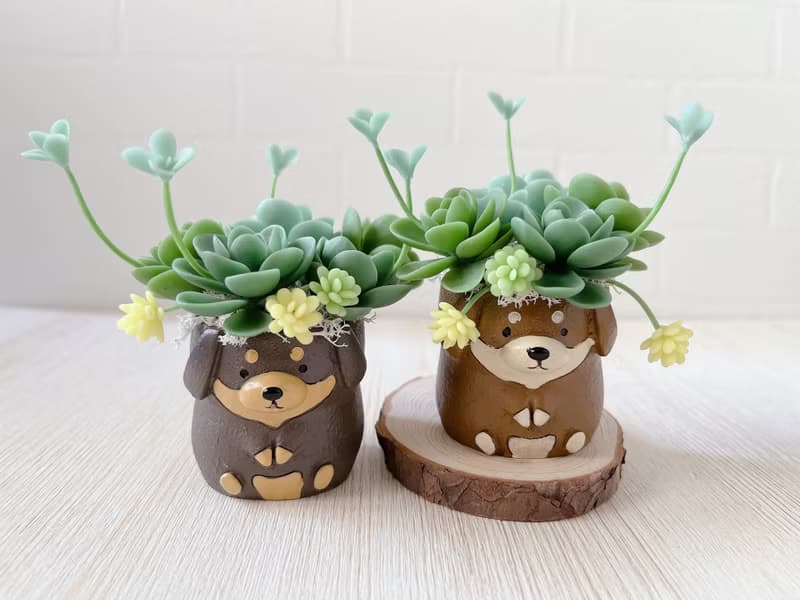 【仿真黏土多肉植物組盆】淺深咖臘腸犬