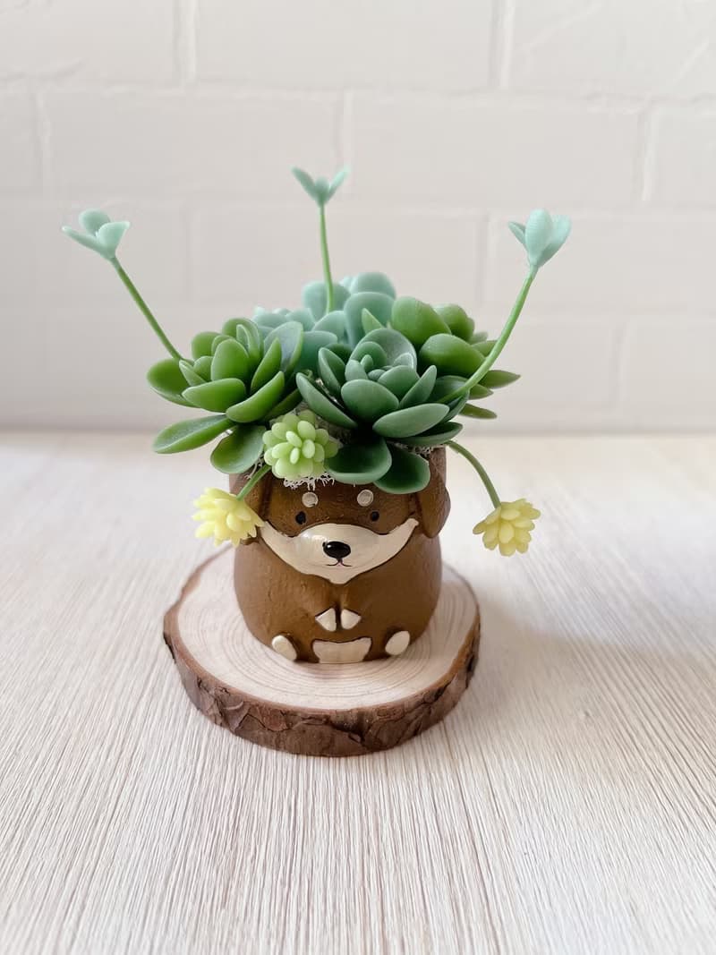 【仿真黏土多肉植物組盆】淺深咖臘腸犬