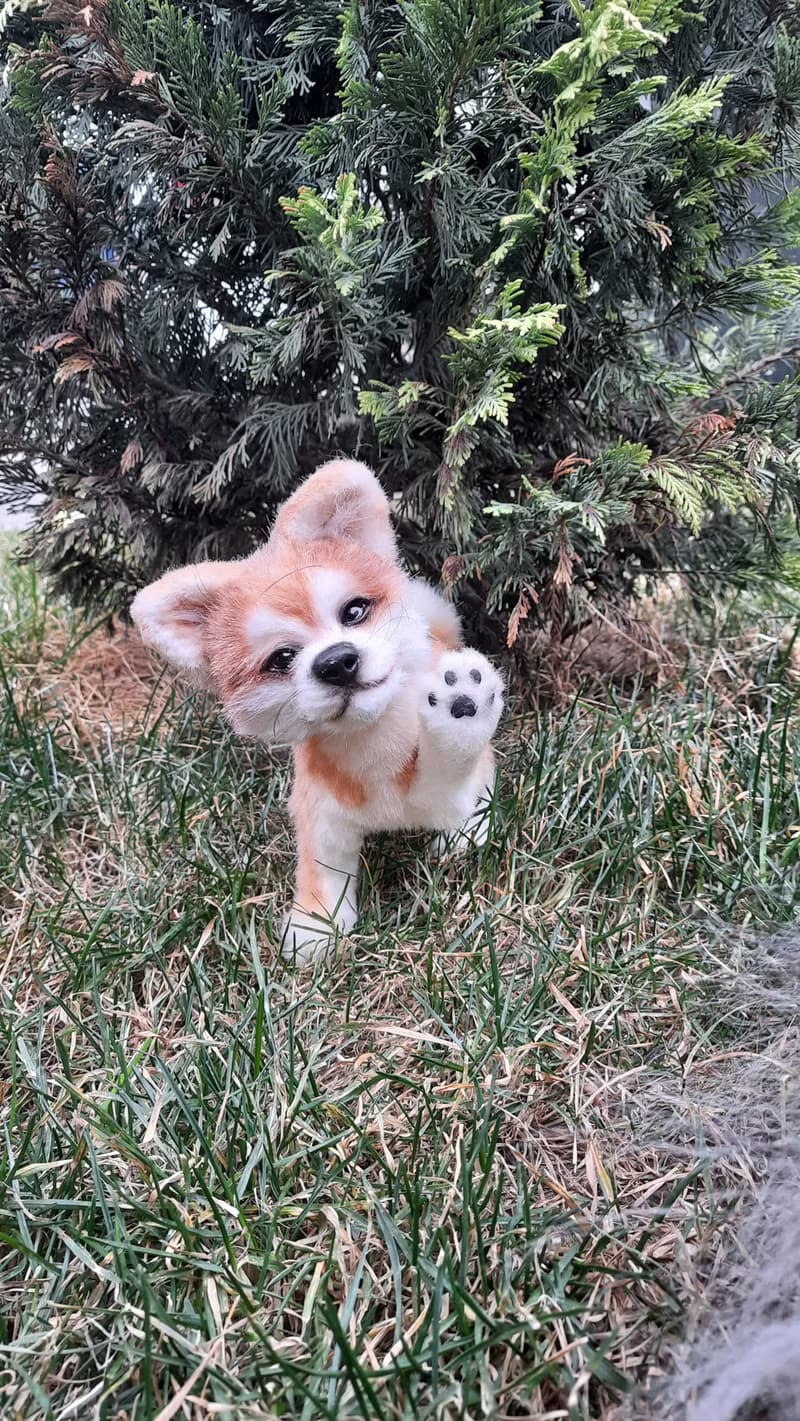 Puppy dog Akita inu stuffed dolls