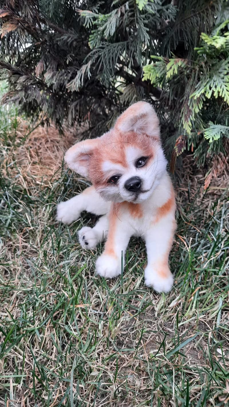 Puppy dog Akita inu stuffed dolls