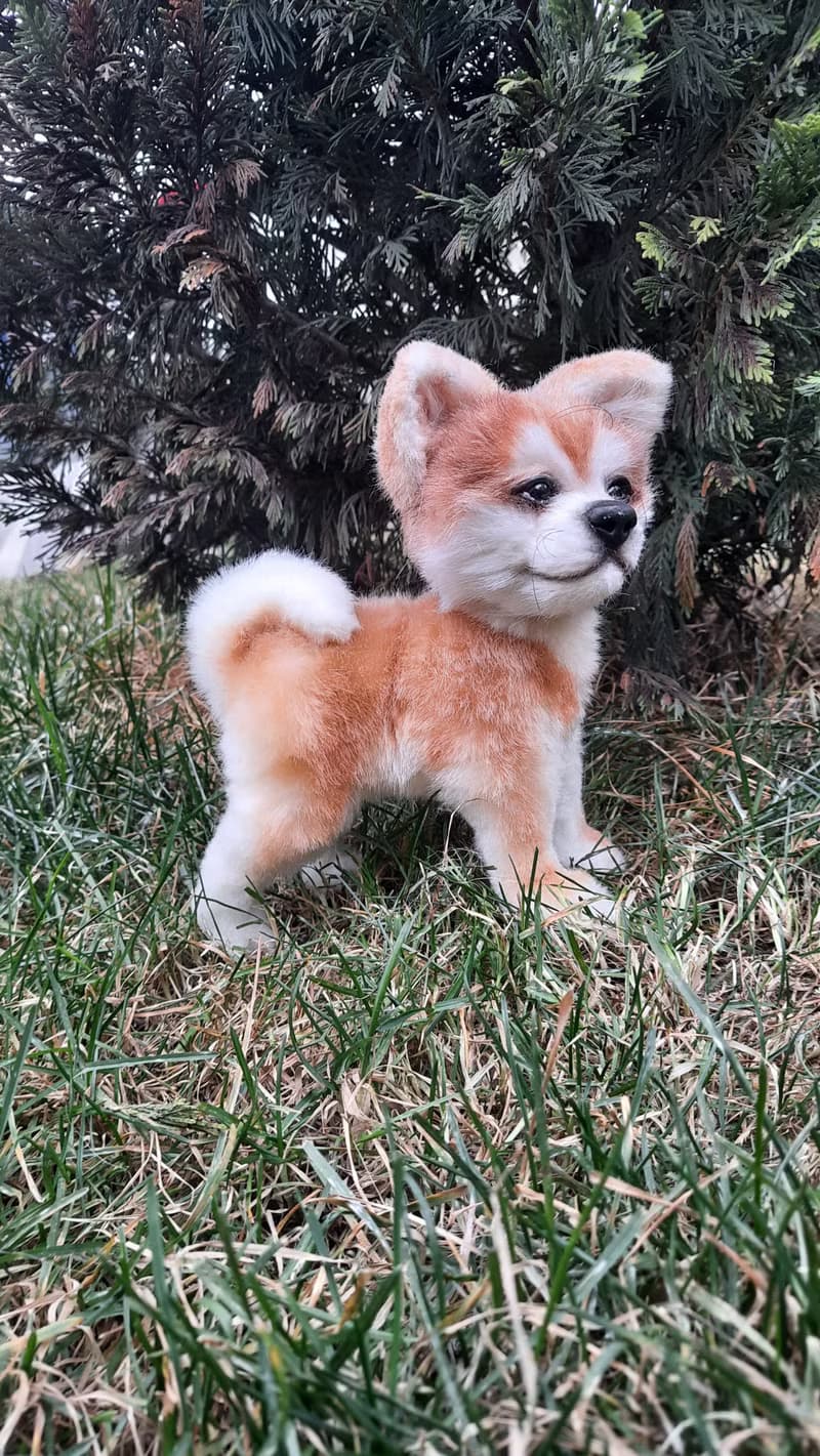 Puppy dog Akita inu stuffed dolls