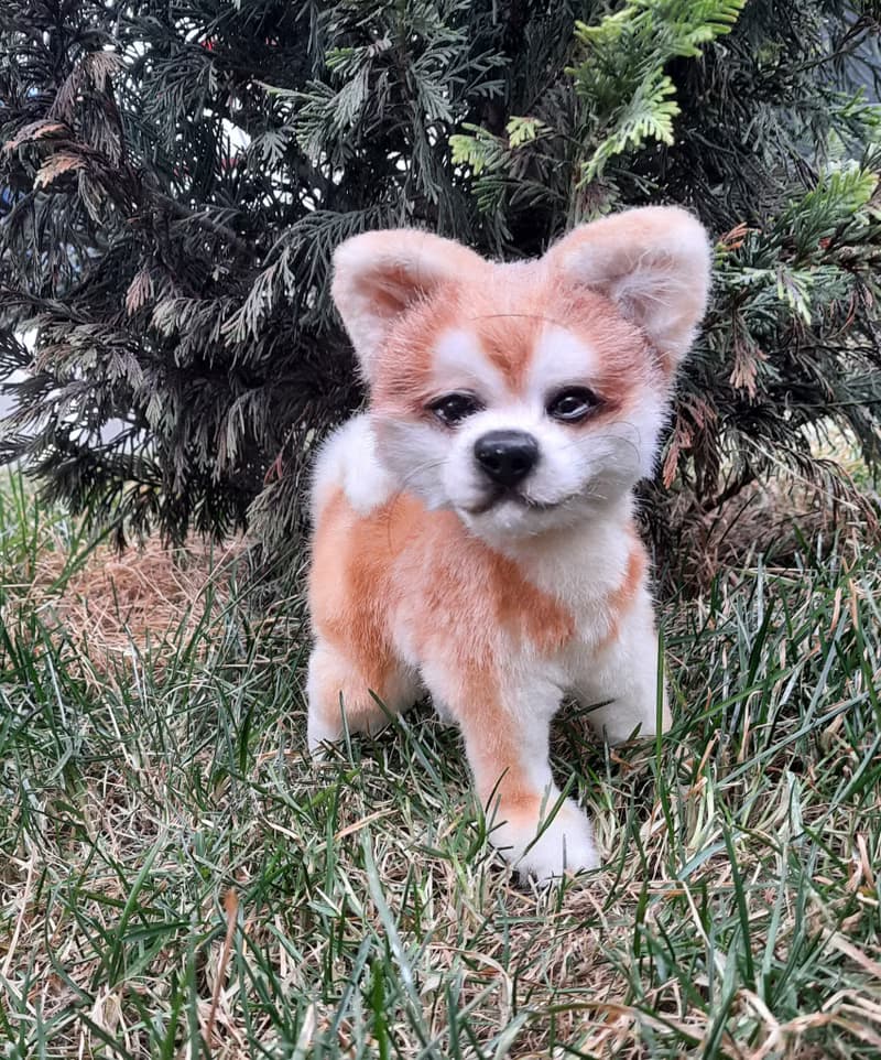 Puppy dog Akita inu stuffed dolls