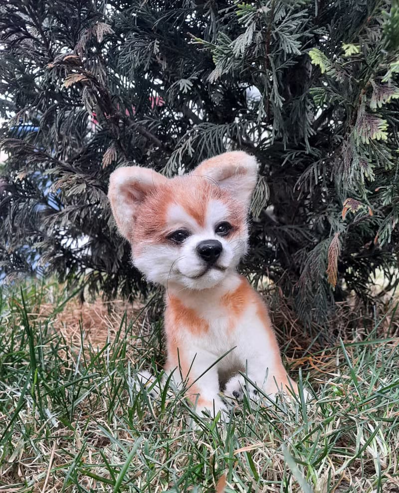 Puppy dog Akita inu stuffed dolls