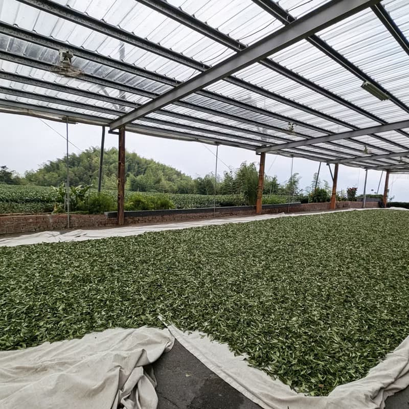 【快速出貨】台灣梨山 蜜香紅茶 精緻罐裝茶包 15包 檢驗合格