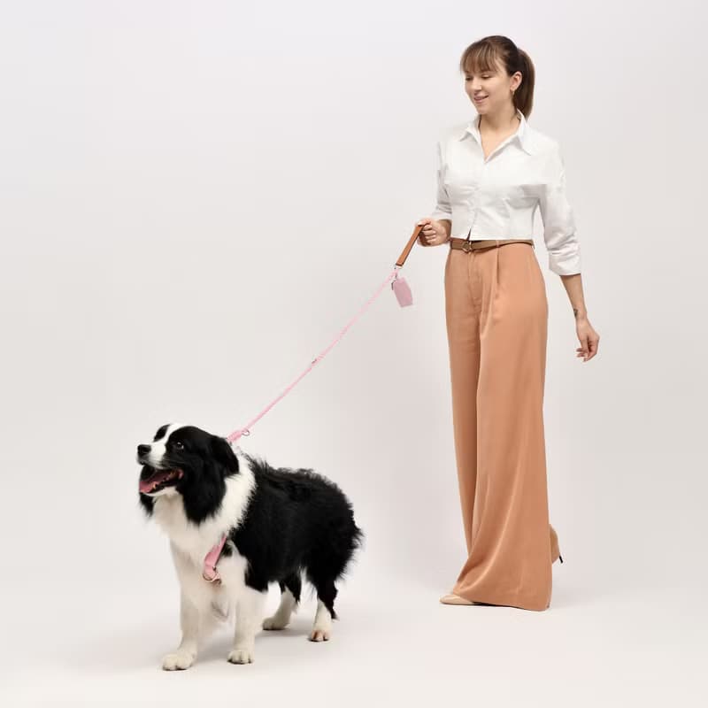 Furri Tail 優雅真皮狗狗胸背帶  - 粉色 (可選訂製刻名)