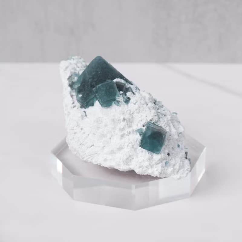 小蝸牛螢石 帶雪景共生 // 內在療癒 舒緩緊張 // 贈底座