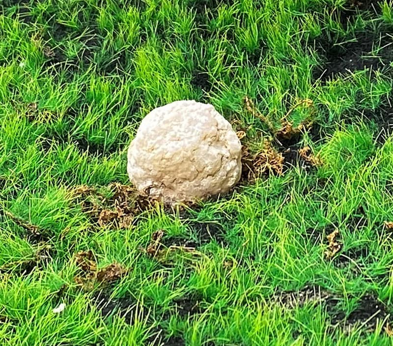 能量擺飾-瑪瑙可愛白晶洞開口笑 招財 療癒 開運 原礦 快速出貨