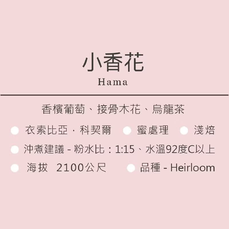 小香花/淺焙/香檳葡萄 接骨木花 烏龍茶 掛耳/浸泡包1/5/10入