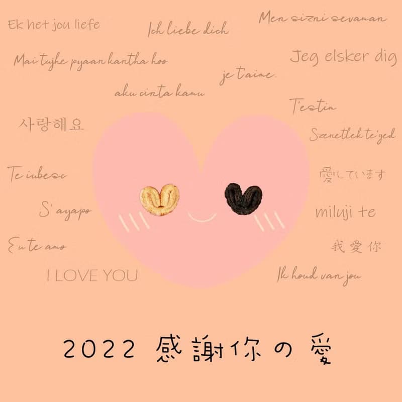 【愛不囉嗦】如蝶翩翩 蝴蝶酥 - 16入/盒 口味任選