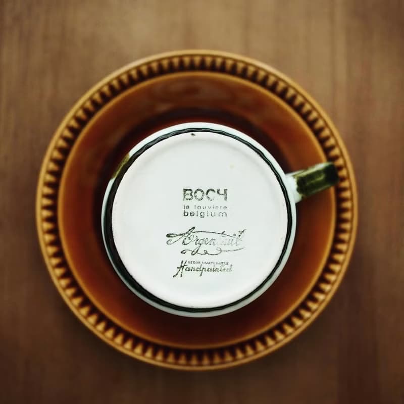 1960年 比利時 BOCH Argenteuil 畫家手繪花卉圖案 杯碟套裝