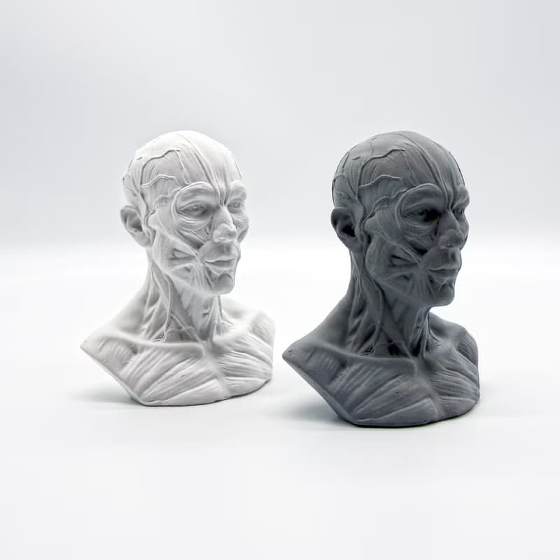 HUMAN muscles Aroma stone I 人體筋肉擴香石 I 手作 I 附精油－