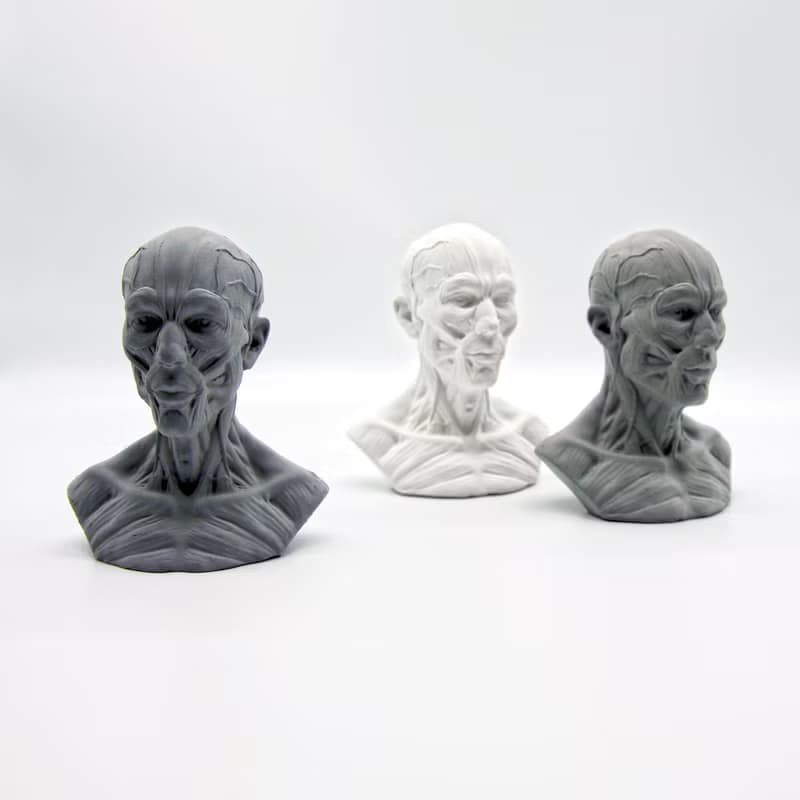 HUMAN muscles Aroma stone I 人體筋肉擴香石 I 手作 I 附精油－