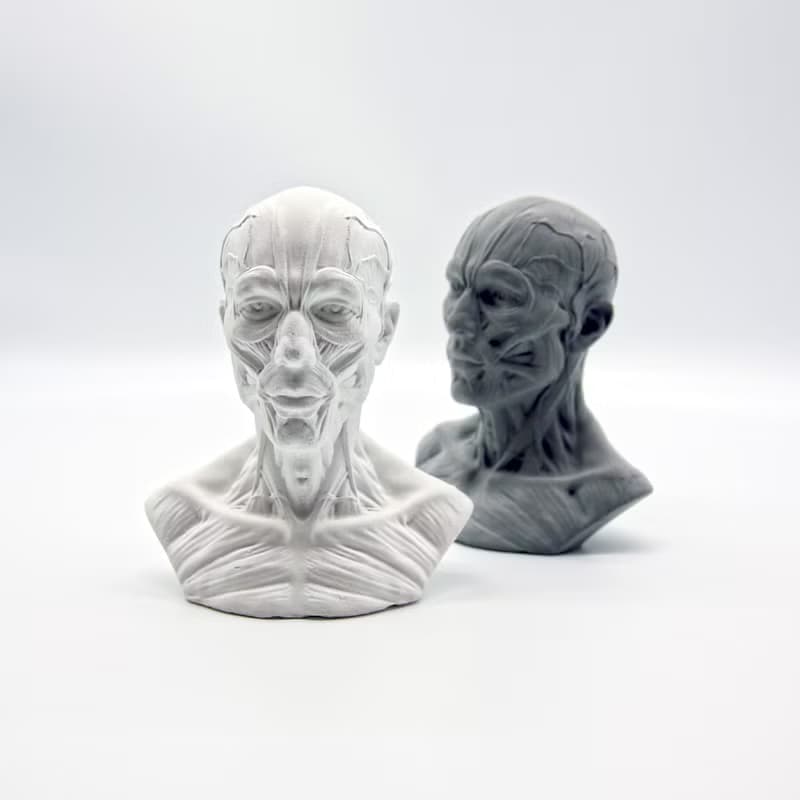 HUMAN muscles Aroma stone I 人體筋肉擴香石 I 手作 I 附精油－