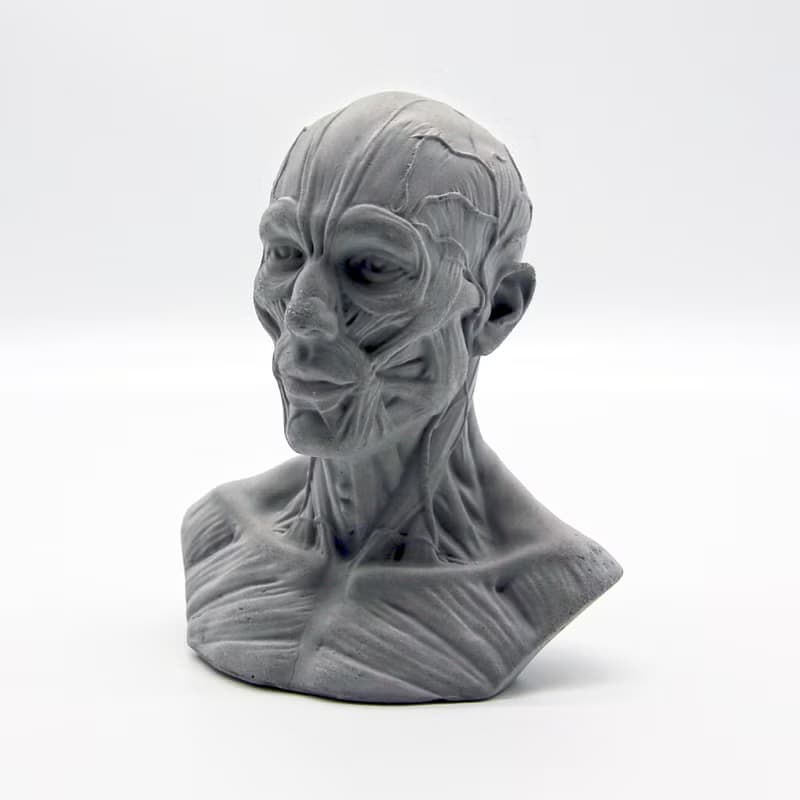 HUMAN muscles Aroma stone I 人體筋肉擴香石 I 手作 I 附精油－